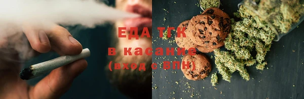 хмурый Алексин