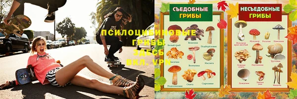 хмурый Алексин