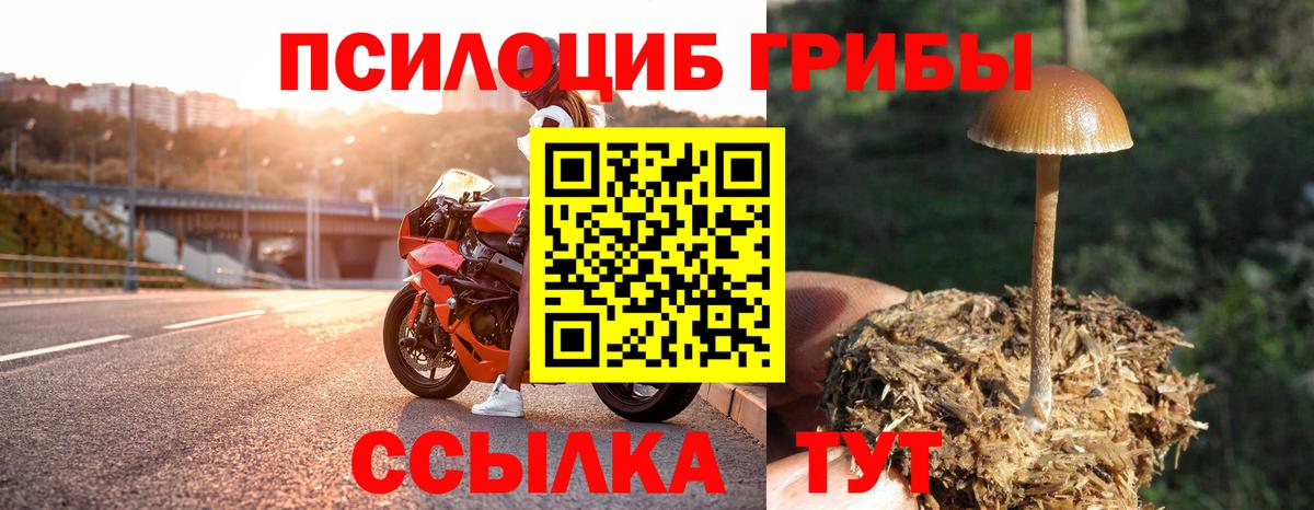 Галлюциногенные грибы мицелий  Псилоцибиновые грибы GOLDEN TEACHER  как найти закладки  Вход с VPN  Сарапул 