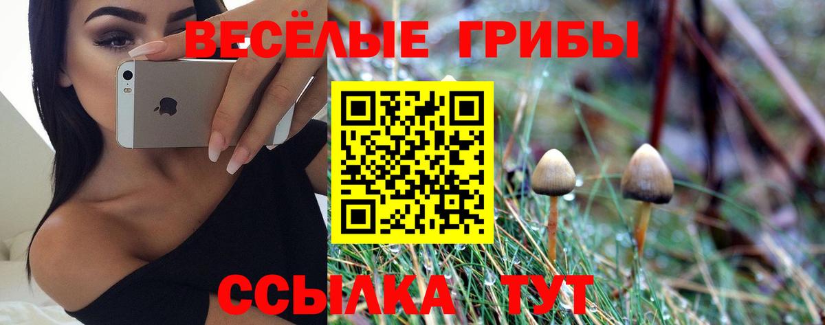Галлюциногенные грибы ЛСД Сарапул
