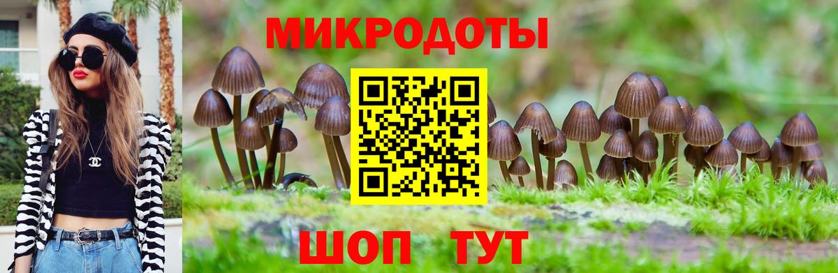 Галлюциногенные грибы ЛСД Сарапул