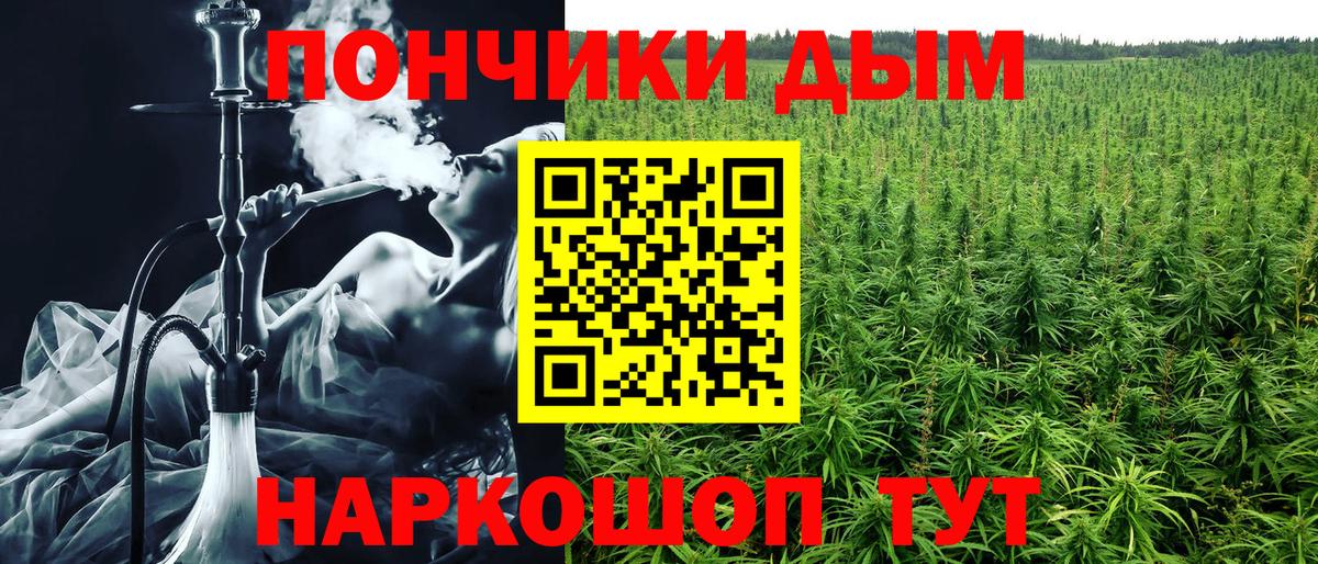 Шишки марихуана план  Каннабис White Widow  Сарапул  Шишки марихуана марихуана  Вход с VPN 